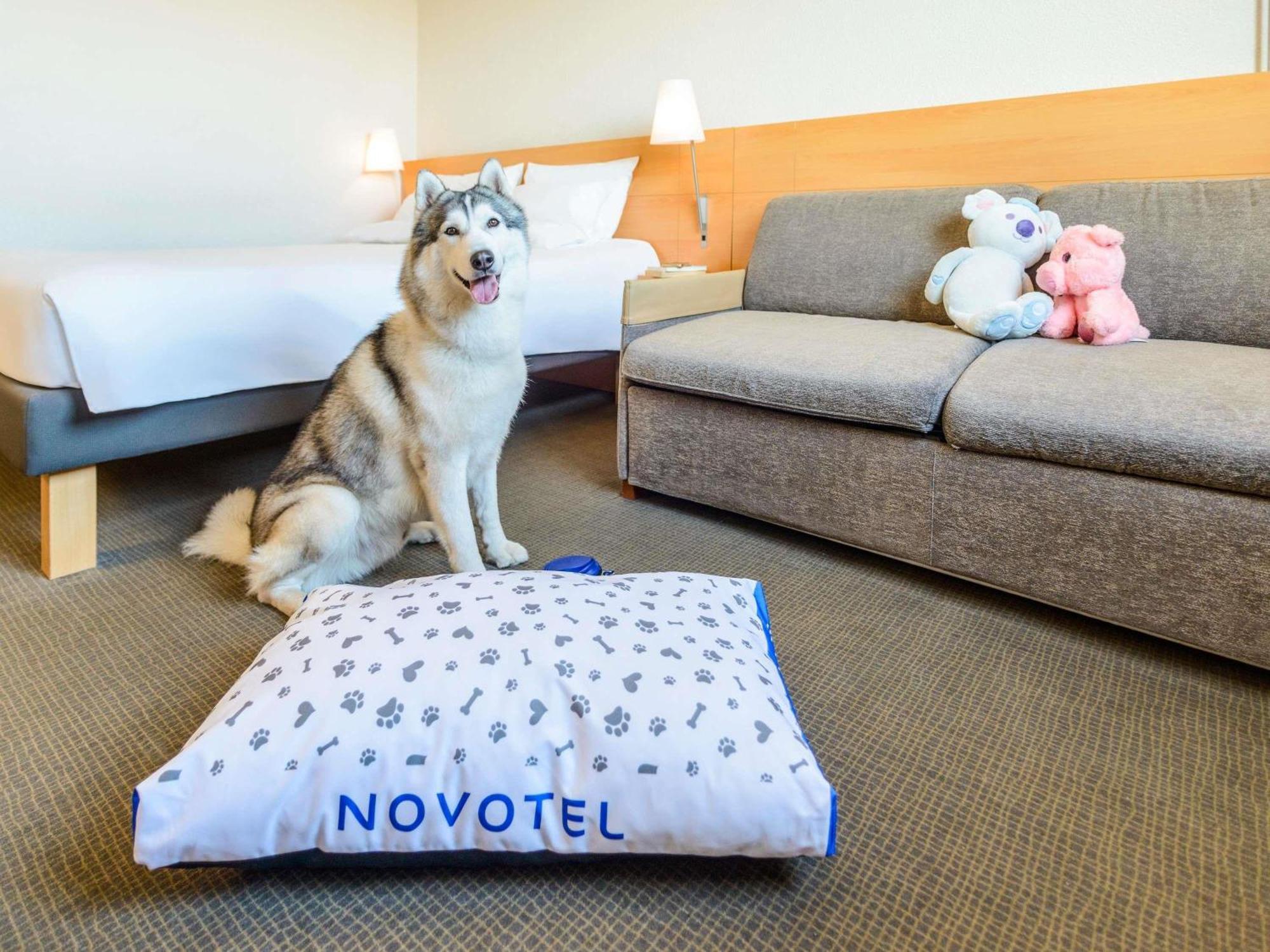 Novotel Torino Corso Giulio Cesare מראה חיצוני תמונה